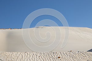 Sand waves in the desert. Bushes in the sand. Ukrainian nature.