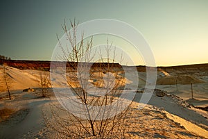 Sand waves in the desert. Bushes in the sand. Ukrainian nature.