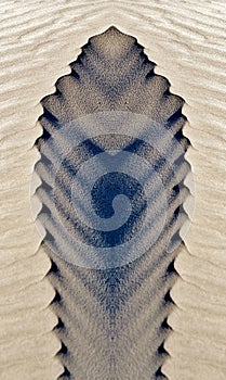 Sand and Wind collage