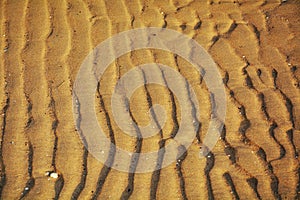 Sand and wind traces, background