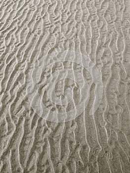 Sand wrinkles