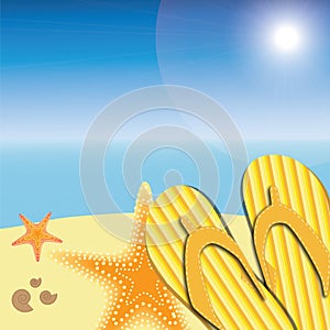 Sandals and starfish at beach