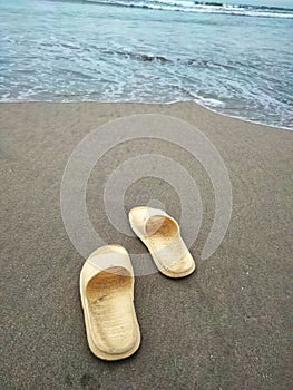 Sandals wanna go swim