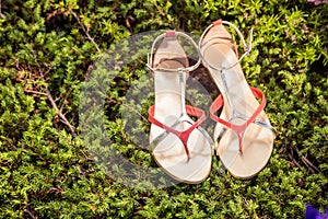 Sandals, women's elegant shoes in nature