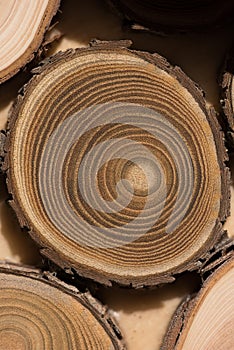 Sandalwood core macro