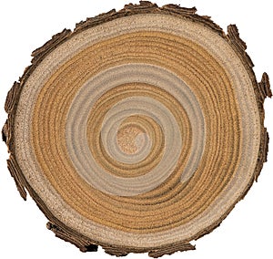 Sandalwood core macro