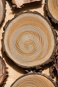 Sandalwood core macro
