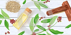 Sandalwood essential oil in glass scent bottle with cork on white wooden shabby desk. Chandan leaves, sticks