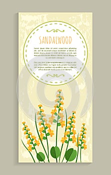 Sandalwood Poster with Herb Vector Illustration