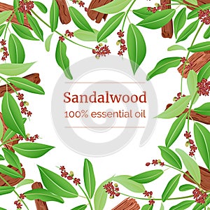 Sandalwood sticks and leaves card template with copy space. Card template. branch boxing