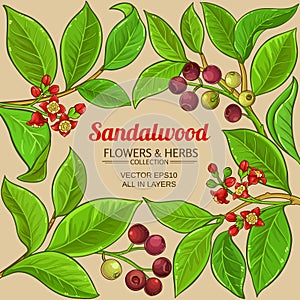 Sandalwood vector frame