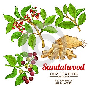 Sandalwood vector set