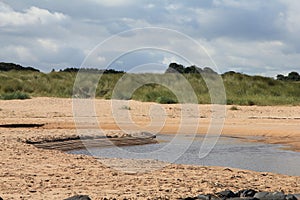 Sandbank on Embleton Beach Estuary