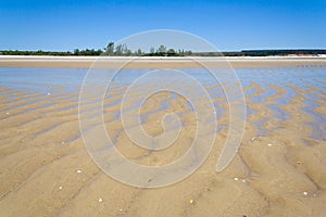Sandbank at low tide