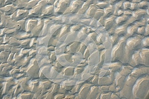 sandbeach surface