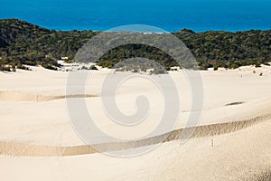 Sandblow in fraser island