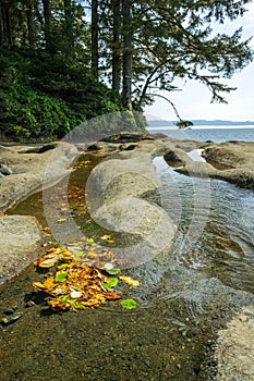 Sandcut beach on Vancouver Island