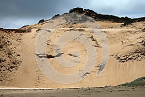 Sanddune at the beach in Australia