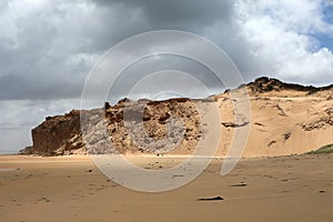 Sanddune at the beach in Australia