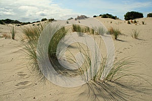 Sanddunes and footsteps in the sand