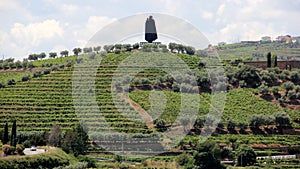 Sandeman silhouette on a hill over vineyards sloping toward Douro River, Peso da Regua, Portugal