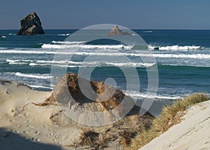 Sandfly bay