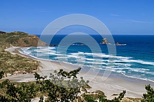 SANDFLY BEACH AND OCEAN WAVES VIEW ON THE OTAGO PENINSULA