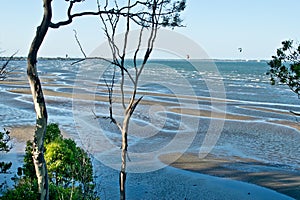 Sandgate beach in the summer.