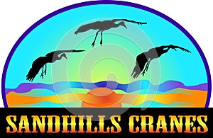 Sandhills Cranes photo
