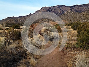 Sandia Mountain and Foothills