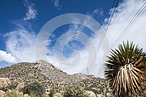 Sandia Peak Tram in Albuquerque New Mexico