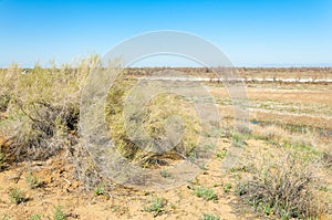 Sands Desert Spring