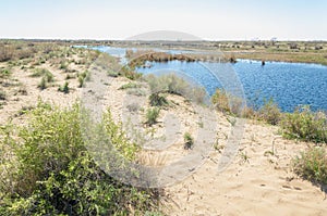 Sands Desert Spring