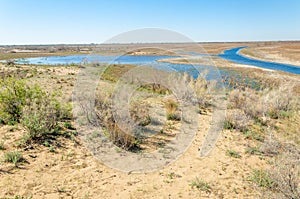 Sands Desert Spring