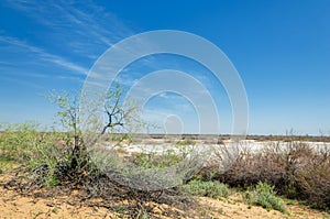 Sands Desert Spring