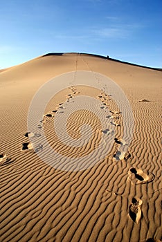 Sands dunes on gobi desert in Mongolia