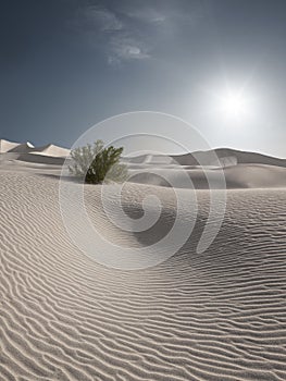 sands dunes at Sands Dunes National Park