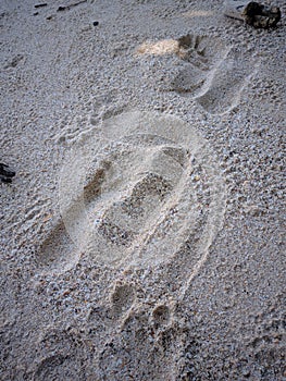 Sands sea in beach sendiki