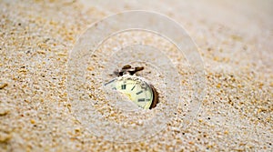 Sands of time. Antique rotten pocket watch buried partial in the sand