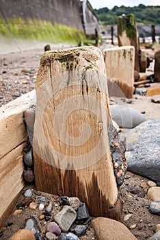 Sandsend Groynes - Groyne - Sandsend - North Yorkshire - UK