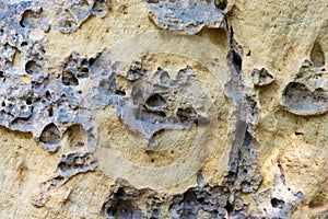 Sandstone background. Closeup of holey natural sandstone rocks