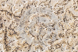 Sandstone background pavement in Jerusalem