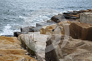 Sandstone blocks on the shoreline