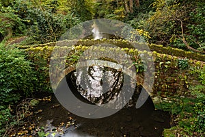 Sandstone Bridge in Jesmond Dene