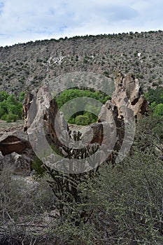 Sandstone With a Cactus in Bandelier National Monument