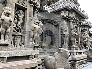 Sandstone carvings of Lion sculpture in the pillars of ancient kanchi Kailasanathar temple in Kanchipuram