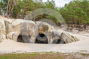 Sandstone caves in the pine forest near Blankenburg in the Harz Mountains