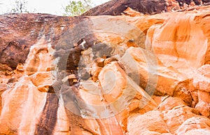 Sandstone cliff