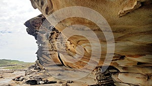 Sandstone Cliff Cape Banks Sydney in the Botany Kamay Bay National Park