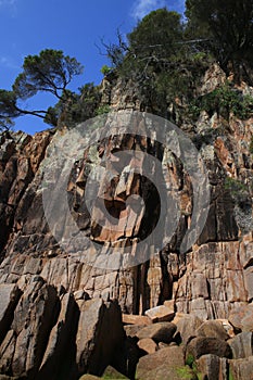 Sandstone Cliff Face